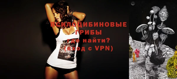 а пвп мука Няндома