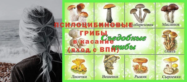 а пвп мука Няндома