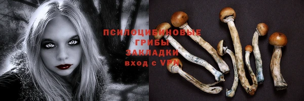 мескалин Нягань