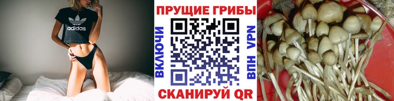 Галлюциногенные грибы ЛСД  гидра ONION  Кодинск 